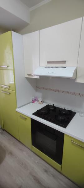 Rose Valley Center Lux Apartment